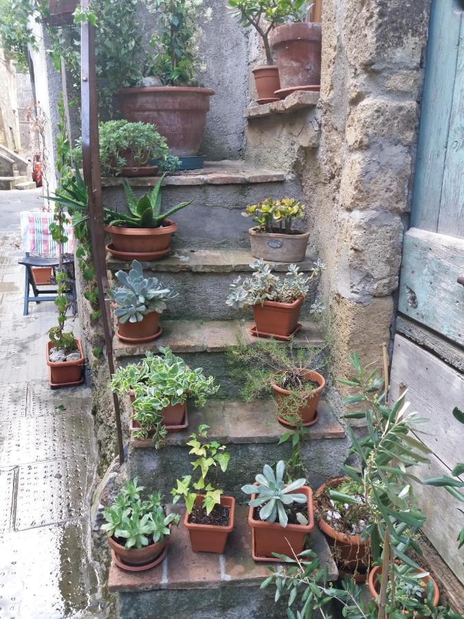 Apartamento La Bico' Pitigliano Exterior foto